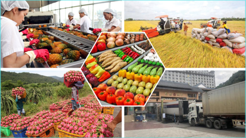 Xuất khẩu nông, lâm sản “bùng nổ”