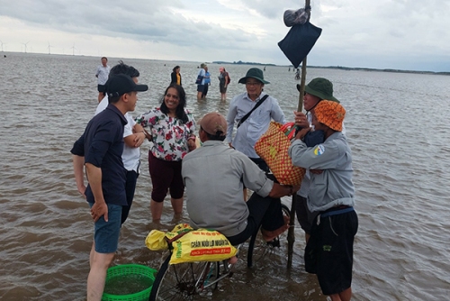 Nghề nuôi Nghêu của tỉnh Bến Tre được chứng nhận MSC lần 3