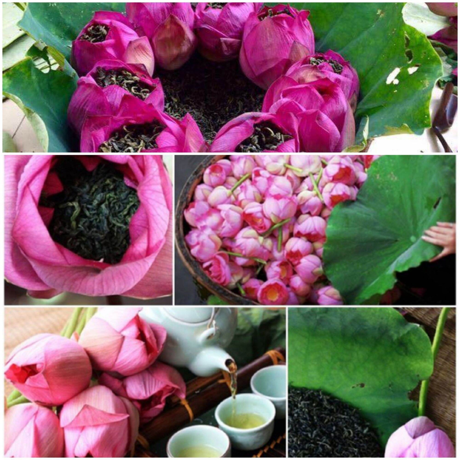 Đặc biệt, sản phẩm trà sen Tây Hồ đã được sử dụng tại các tiệc trà tiếp khách quốc tế.