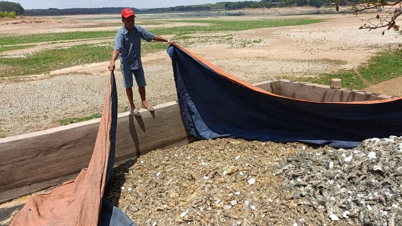 dong nai da thu gom het 200 tan ca noi trang ho song may hinh 7