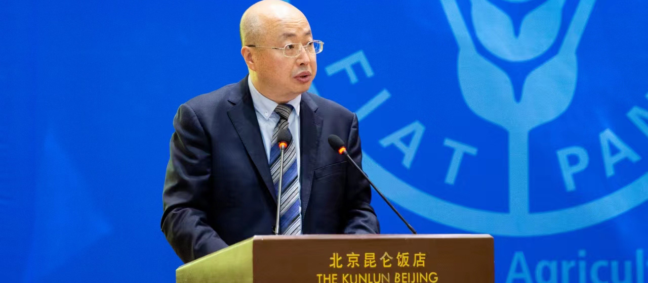 Giáo sư Guibiao YE, Chủ tịch Ban kỹ thuật Codex quốc tế về Dư lượng thuốc bảo vệ thực vật chủ trì và điều hành Hội nghị.