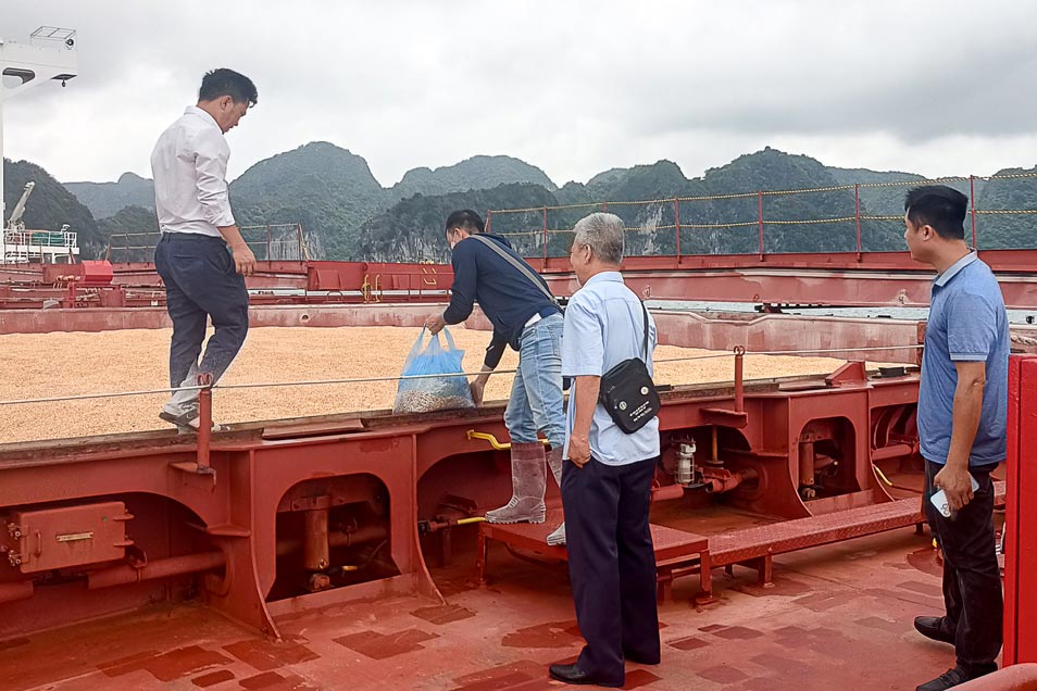 VinaCert Danh Gia Witness phuong thuc 7 tai dia chi khach hang
