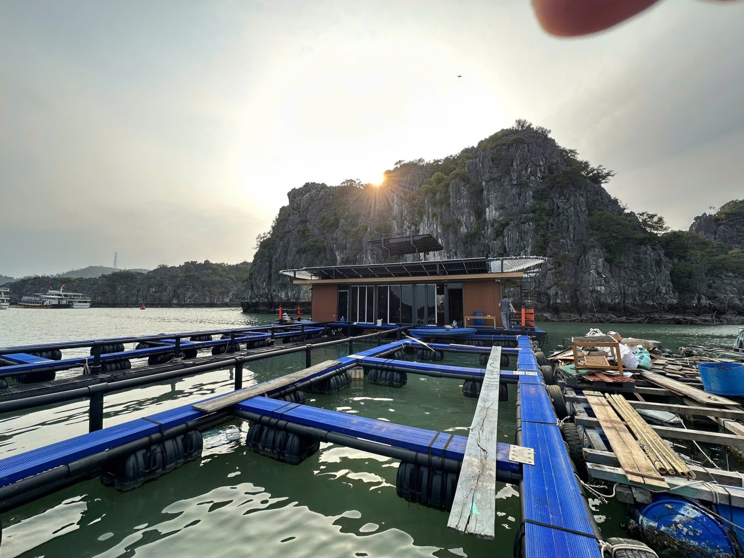 Nuôi, trồng thủy sản được xác định là hướng phát triển bền vững và hiệu quả thời gian tới - Ảnh: VGP/Đỗ Hương